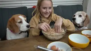 Delicious Diy Dog Treat Recipes!