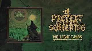 A PRETEXT TO HUMAN SUFFERING - NO LIGHT LIVES