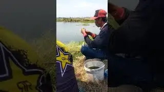 MANCING MANIA