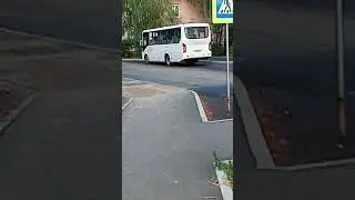 автобус номер 991 маршрут 101