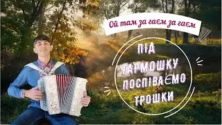 Ой там за гаєм за гаєм - Українська народна пісня. Виконання - Дмитро Кива