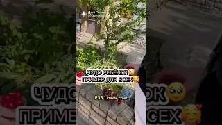 Пример для всех! 💕🔥👍 Твори добро! #shortvideo