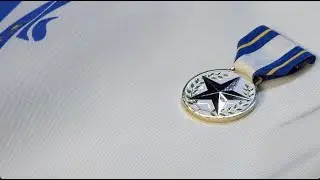 Massachusetts Medal of Fidelity