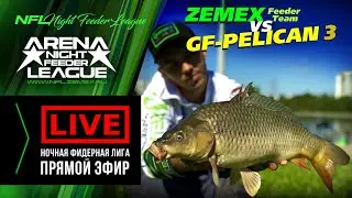 N.F.L. ARENA - Прямой эфир / Игра ZEMEX vs GF-PELICAN 3 / Ночная Фидерная Лига 2020