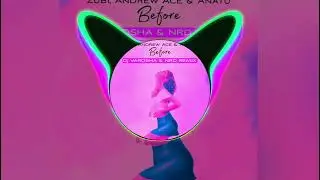 Zubi, Andrew Ace - Before (DJ Varosha & NRD Remix)