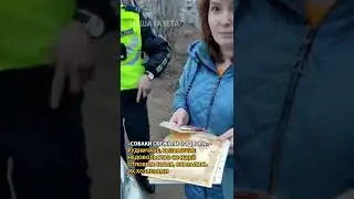 Рудничане, вызвавшие недовольство соседей отловом собак, оказались их хозяевами