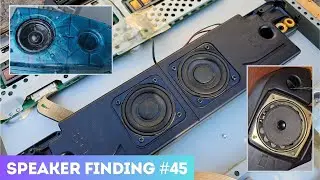 Speaker Finding #45: Double Voice Coil Philips TV subwoofer, Samsung flatscreen tv woofers and more!