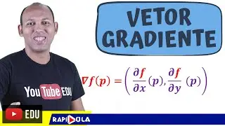 GRADIENT VECTOR #01