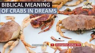Biblical Meaning of  CRABS in Dream - Find Out The Spiritual Meaning