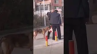 #оренбург Воспользовался моментом.  😆😆😆😆