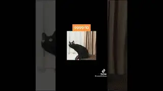 ЭТО СДЕЛАТЬ НА ТЕБЯ .