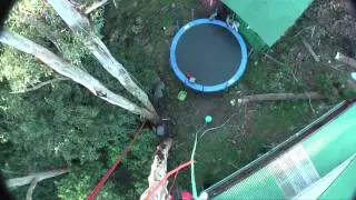 Monkey in a Monkey Gum