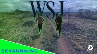 Running into the Wall Street Journal