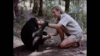 Jane's Journey (2010) - Documentary Movie Official Trailer [HD]