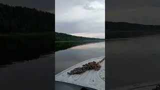 Наша Родина