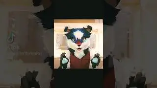 Ai Made Me Into Cat? 