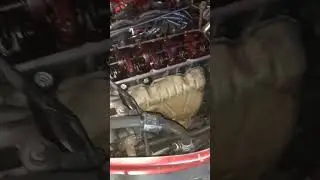 #dacia logan #engine Свадьба