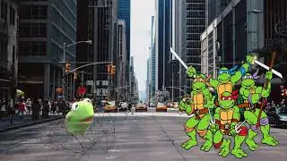 Pube Muppet Goes To TMNT