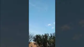 Helicopter watch 19:08 19/06/24