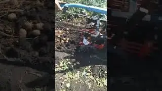 картофелекопалка