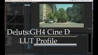 Deluts: GH4 Cine D Profile LUT: Color Grade Like A Boss.