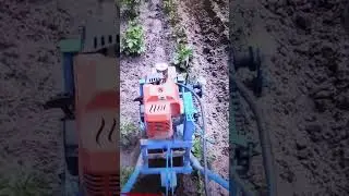 Саморобний окучник, обгортач в дії
