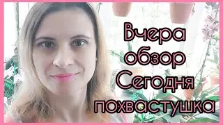 Новый зелёный питомец с довеском⚠️ПРЕДУПРЕЖДЕНИЕ⚠️По следам вчерашнего обзора #ЛеруаМерлен 🌷#цветы