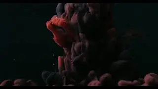 Smoke Video