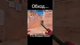 Крыса в стандофф 2 