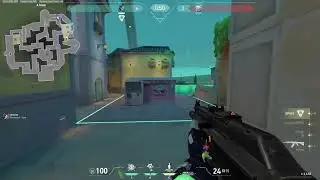 Insane Hospital Flick