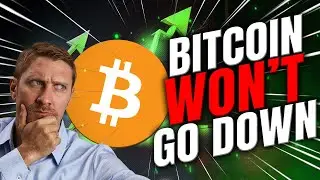 Trump Stands! Bitcoin White Swan Event: Price Shoots Up! Where To Now? EP 1312