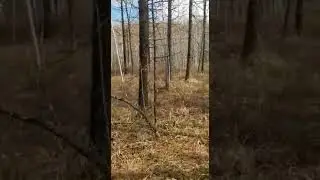 30 апреля 2021 г.