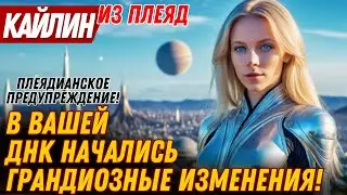 ЭТО ПОТРЯСАЮЩЕ...! ТРЕВОЖНЫЙ СИГНАЛ ПЛЕЯДИАНЦЕВ | Кайлин