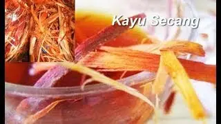 Asli, Kayu Secang Lampung dan Manfaatnya