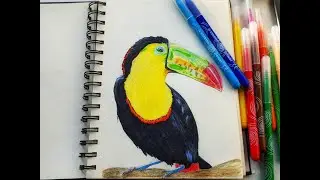 Reviewing Stabilo Power Fibre -Tip Pens/ Sketch Pens!