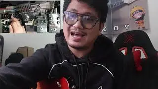 MINI-ANIMALIST RIG 2021