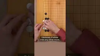 4 Points in The Corner: 2nd Option in Go Game 