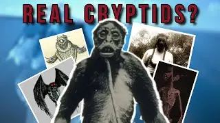 The DISTURBING CRYPTIDS Iceberg Chart Explained