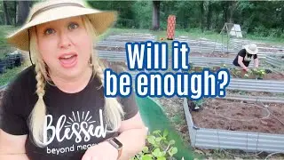 Growing Food to Feed My Family of 11