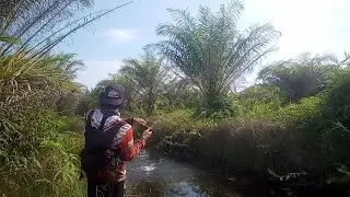 spot ini sudah lama tidak dicasting sekali dicasting lumayan dapat.