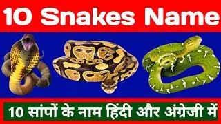 10 snakes names | 10 सांपों के नाम | non poisonous snakes name | venomous snakes in india | Snakes