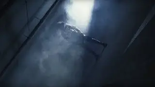 Elso - Spider Silva