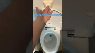Poop and flush 
