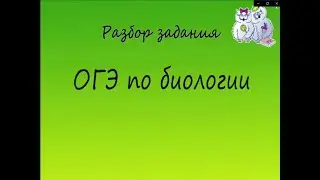 Биология. Разбор заданий ОГЭ по биологии. Анатомия