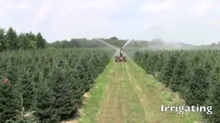 Korson's Summer Jobs