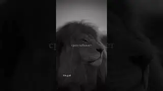 Я очень не люблю когда мне лгут