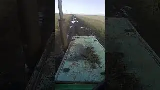 2 сентября 2023 г.