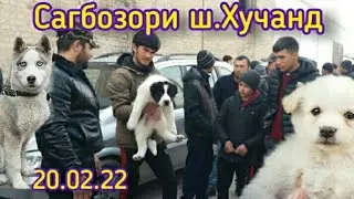 НАРХИ САГ , САГБОЗОРИ Ш.ХУЧАНД