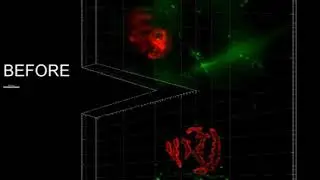 widefield before after deconvolution