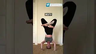 Мудрость йога 